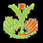 Sarani Systems Private Limited Logo