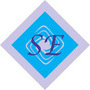 Sriram Electronics Private Limited Logo