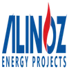 Alinoz Energy Private Limited image