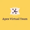 Teamapex Virtual Online Services Llp Logo