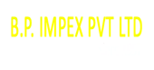 B.P. Impex Private Limited Company Logo