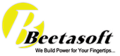 Beetasoft Systems Private Limited Logo
