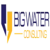 Bigwater Consulting Private Limited Logo