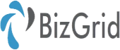 Bizgrid Infotech Private Limited Logo