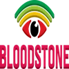 Bloodstone Technologies Private Limited Logo