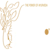 Bodhi Ayurveda Hospitals And Research Center Private Limited image