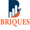 Briques Finserve Private Limited Logo