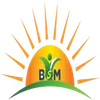 Bsmhealth India Private Limited Logo