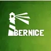 Bernice Solutions Private Limited Logo