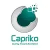 Capriko Smart Solutions Private Limited Logo
