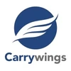 Carrywings Lines Private Limited Logo