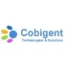 Cobigent Technologies And Solutions Private Limited Logo