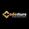 Codesture Techno Private Limited image