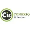 Conexiq It Services Private Limited Company Logo