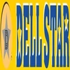 Dellstar Industries Private Limited Logo