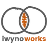 Devon Iwynoworks Private Limited Company Logo
