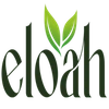 Eloah Exports And Imports Private Limited Logo