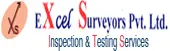 Excel Surveyors Private Limited Company Logo