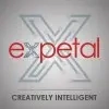 Expetal Media Private Limited Company Logo