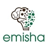 Emisha Technology Solutions Llp Logo