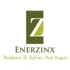 Enerzinx India Private Limited Logo