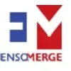 Ensomerge Services Private Limited Company Logo