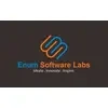 Enum Software Labs Private Limited Company Logo