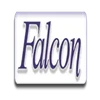 Falcon Infotech Private Limited Company Logo