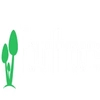 Fourthroots Technologies Private Limited Logo