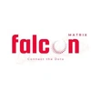 Falconmatrix Llp Logo