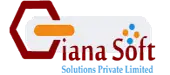 Giana Soft Solutions Private Limited Company Logo