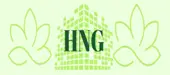 Hng Recruitment And Staffing Services Private Limited Company Logo