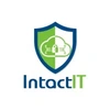 Intactit Infosystems Private Limited Logo