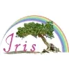 Iris It Solutions Private Limited Logo