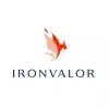 Ironvalor Private Limited Company Logo