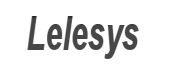 Lelesys Infotech Private Limited Logo