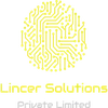 Lincer Solutions Private Limited Company Logo