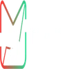 Mystox Wealthtech Private Limited Company Logo