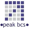Peak Bcs Ventures India Private Limited Logo