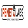 Peneto Labs Private Limited Company Logo