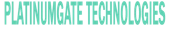 Platinumgate Technologies Private Limited Logo