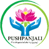 Pushpanjali Multi Speciality Hospital Private Limited Company Logo