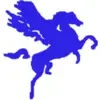 Pegasus Coaching Private Limited image