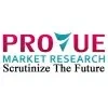 Provue Market Research Private Limited Company Logo