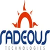 Radeous It Services Private Limited Logo