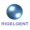 Rigelgent Technologies Private Limited Company Logo
