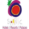 Spanic India Private Limited Logo