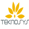 Teknosys It Services (India) Private Limited Logo