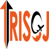 Trisoj Holiday Llp Company Logo