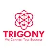 Trigony Network Solutions Private Limited Company Logo